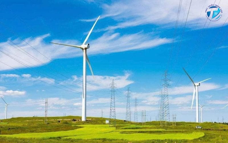 Trang trại điện gió sản xuất điện và kết nối với hệ thống lưới điện.